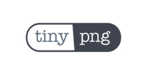 Digital Nest, Digital Nest School of Business